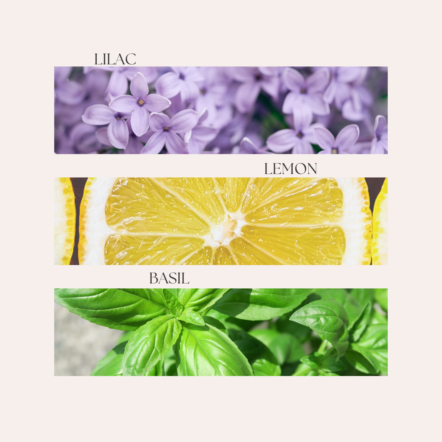 le Jardin au Soleil Single Wick Candle